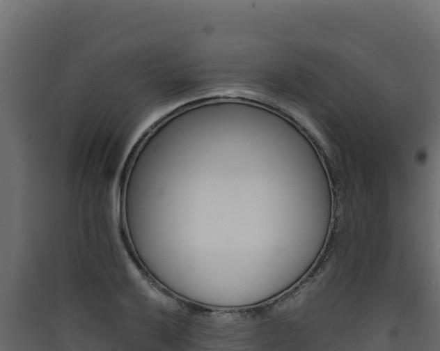 X0000090431032200707131004