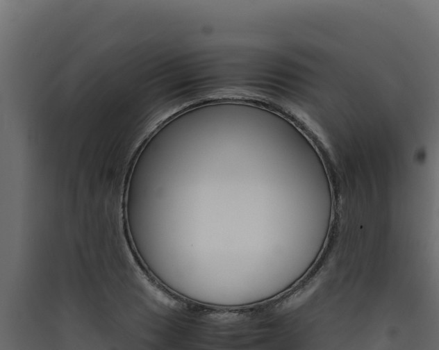 X0000090431033200707131004