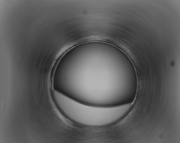 X0000090431034200707131004
