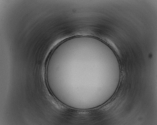 X0000090431035200707131004