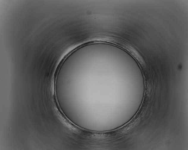 X0000090431036200707131004