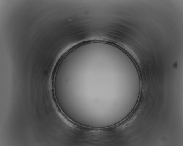 X0000090431037200707131004