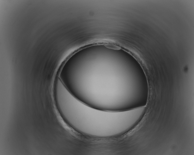 X0000090431038200707131004