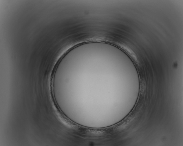 X0000090431039200707131004