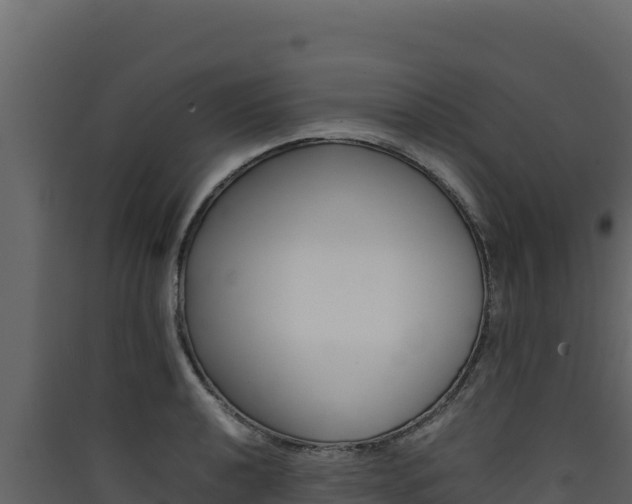 X0000090431040200707131004