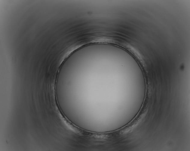 X0000090431041200707131004