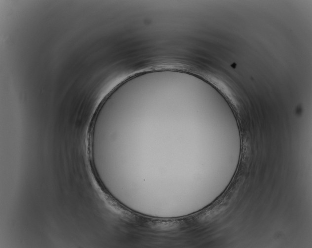 X0000090431047200707131004