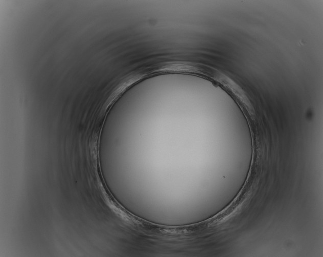 X0000090431049200707131004