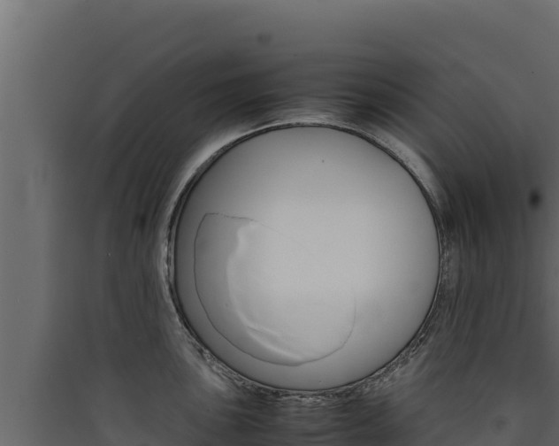 X0000090431051200707131004