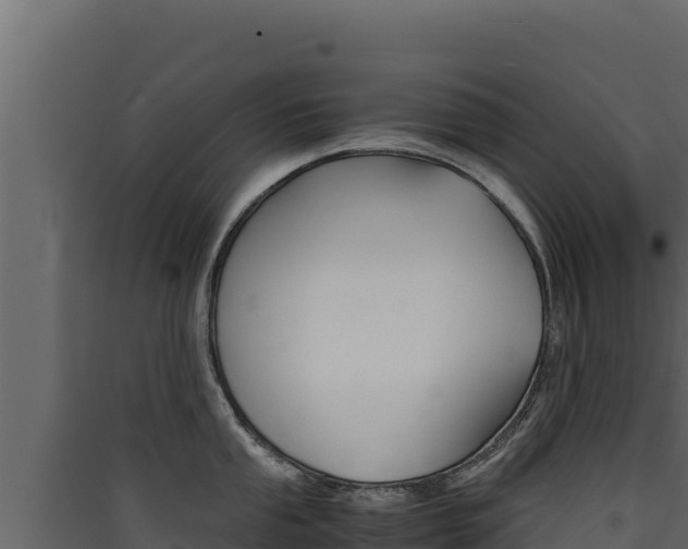 X0000090431053200707131004