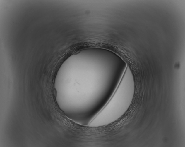 X0000090431057200707131003