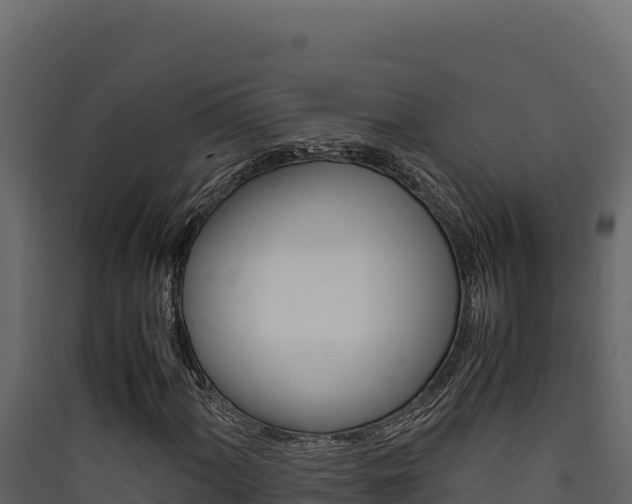 X0000090431060200707131003