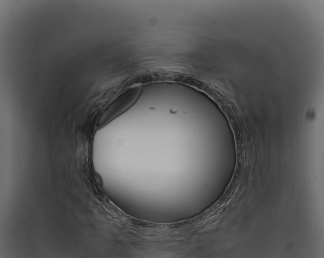 X0000090431061200707131003