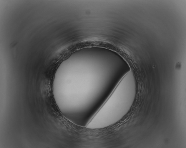 X0000090431062200707131003
