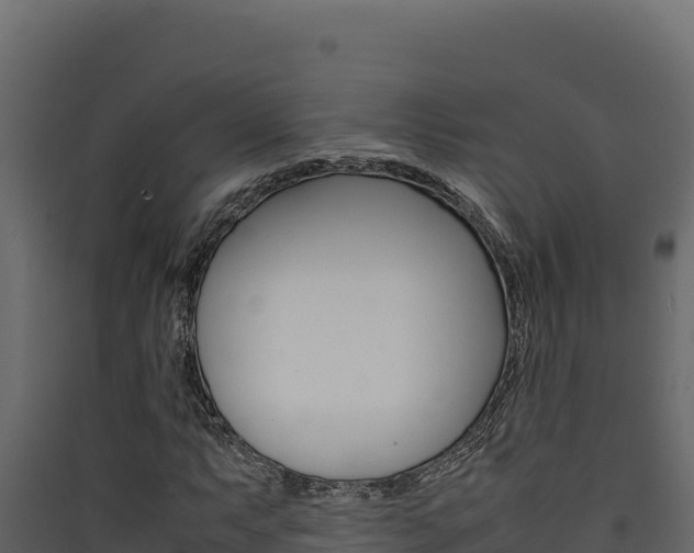 X0000090431063200707131003