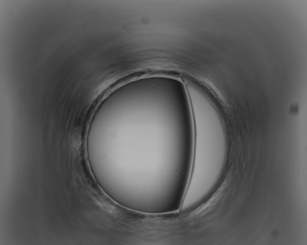 X0000090431065200707131003