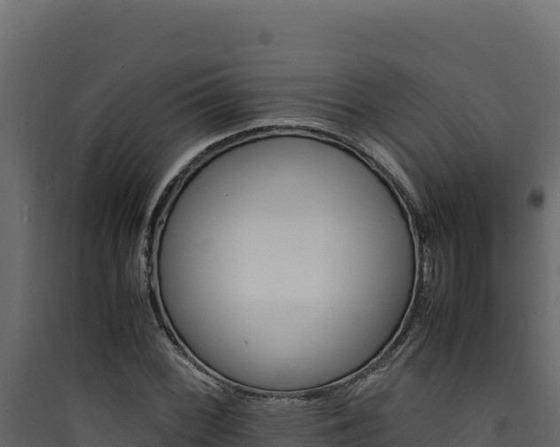 X0000090431068200707131003