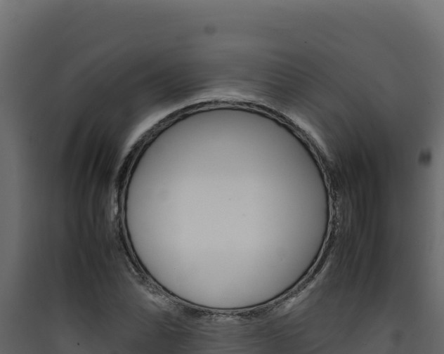X0000090431070200707131003