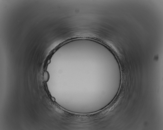 X0000090431071200707131003