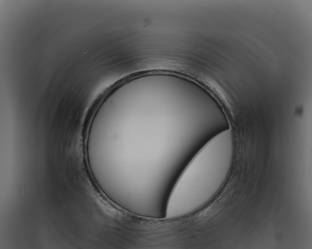 X0000090431072200707131003
