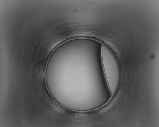 X0000090431073200707131003