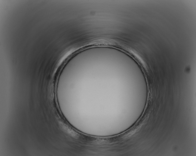 X0000090431075200707131003