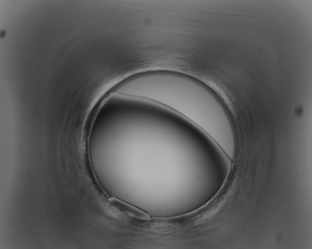 X0000090431077200707131003