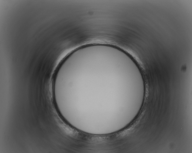 X0000090431078200707131003
