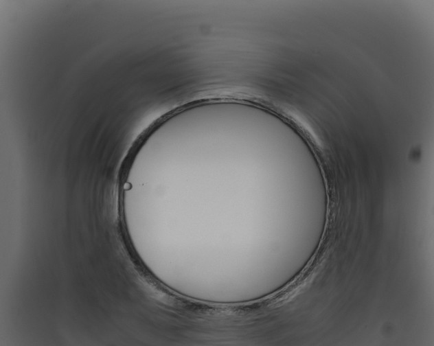 X0000090431079200707131003