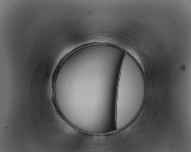 X0000090431080200707131003