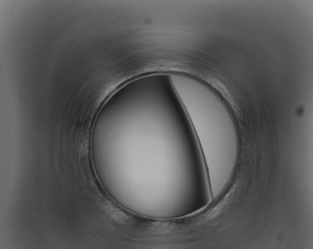 X0000090431081200707131003
