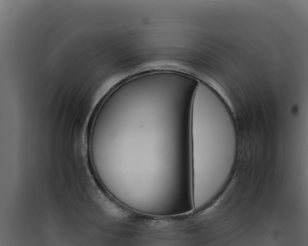 X0000090431082200707131003