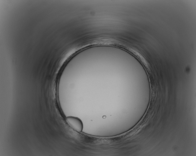X0000090431083200707131003
