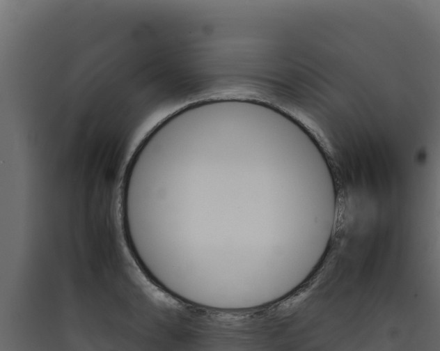 X0000090431086200707131003