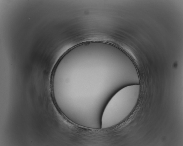 X0000090431087200707131003