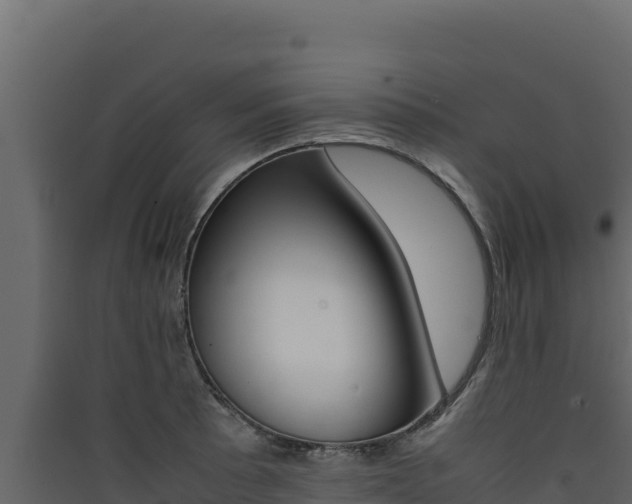 X0000090431089200707131003