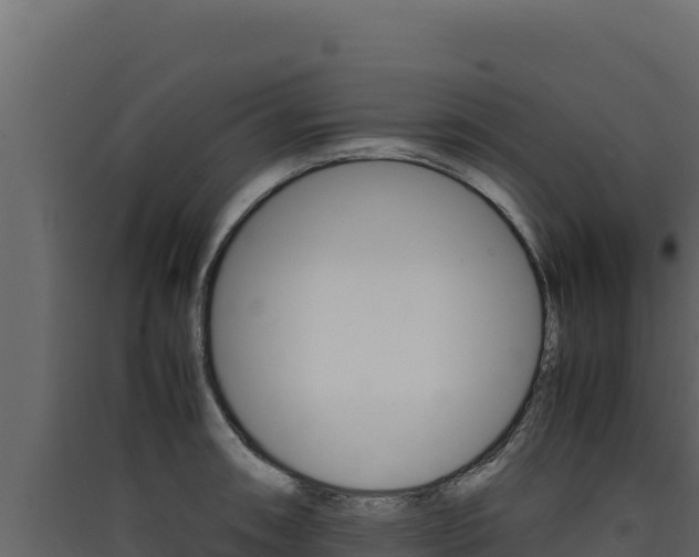 X0000090431090200707131003