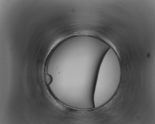 X0000090431091200707131003