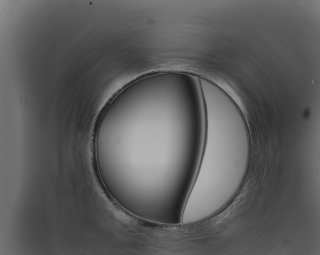 X0000090431093200707131003