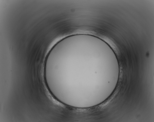 X0000090431094200707131003