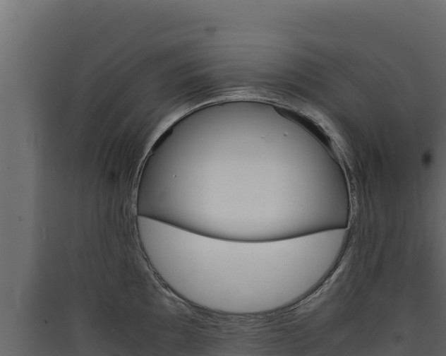 X0000090431097200707131003