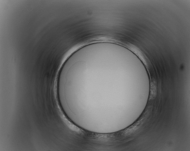 X0000090431098200707131003