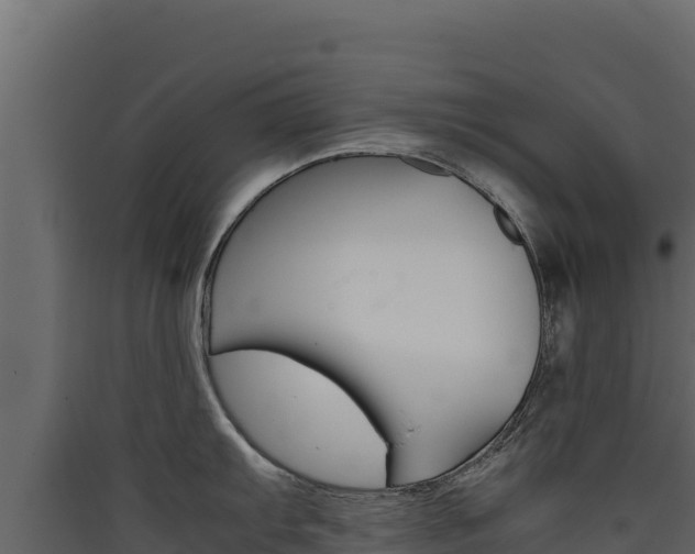 X0000090431103200707131003