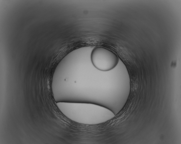 X0000090431106200707131002