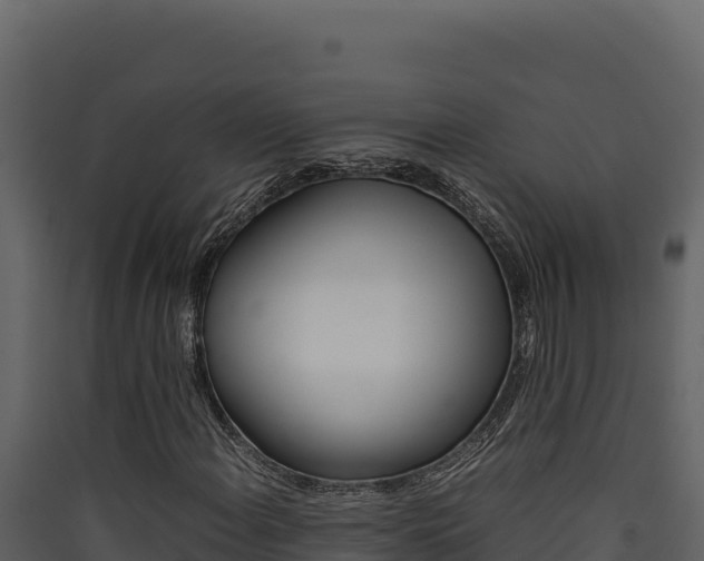 X0000090431108200707131002