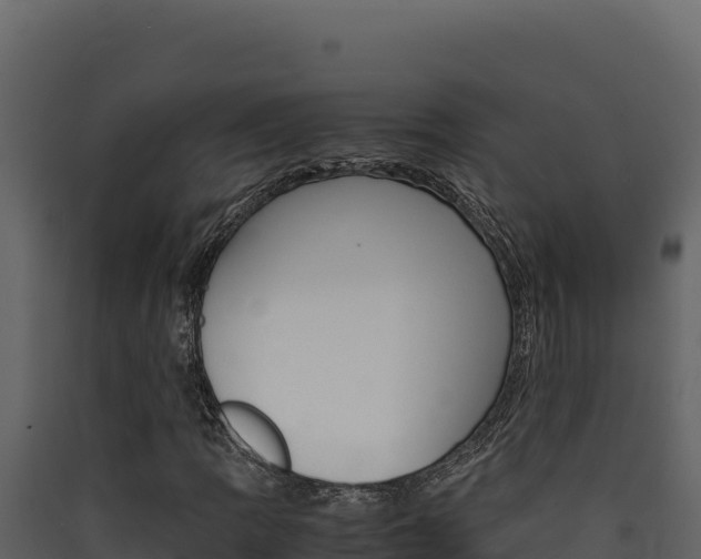 X0000090431109200707131002