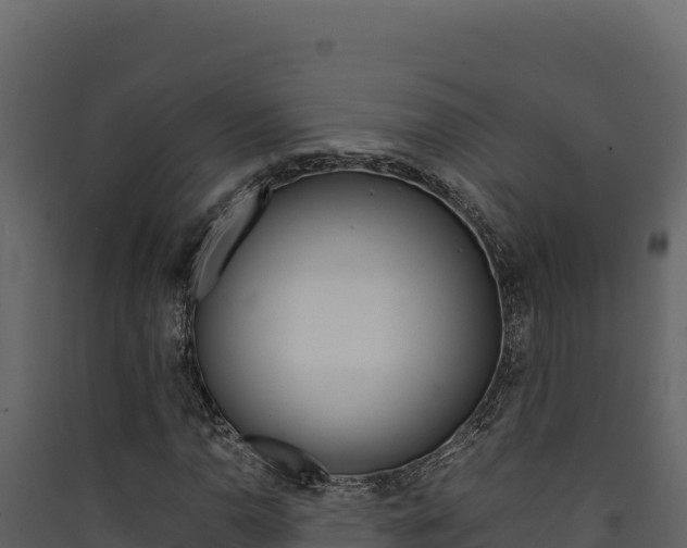 X0000090431110200707131002