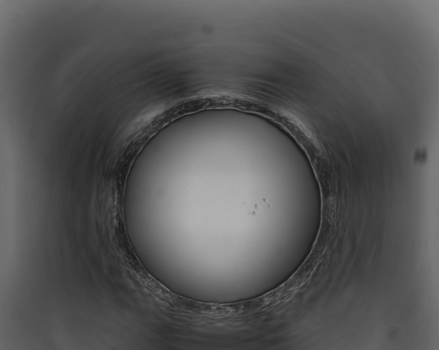 X0000090431111200707131002