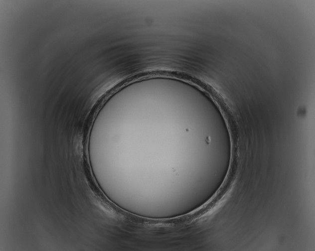 X0000090431113200707131002