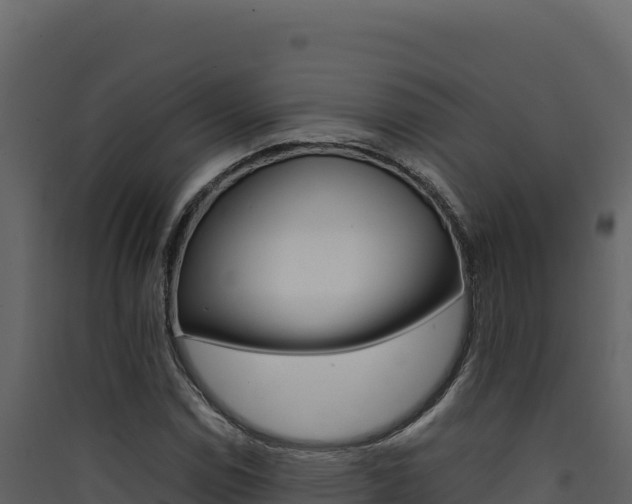 X0000090431114200707131002